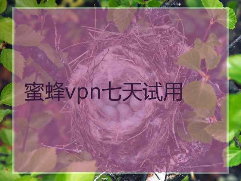 蜜蜂vpn七天试用