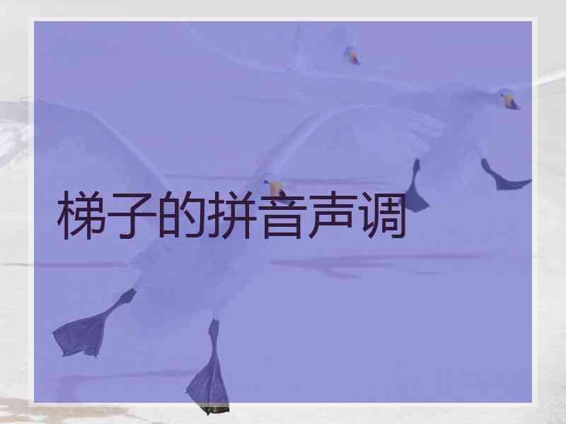 梯子的拼音声调