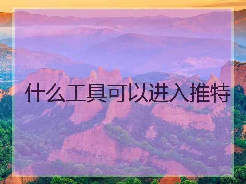 什么工具可以进入推特
