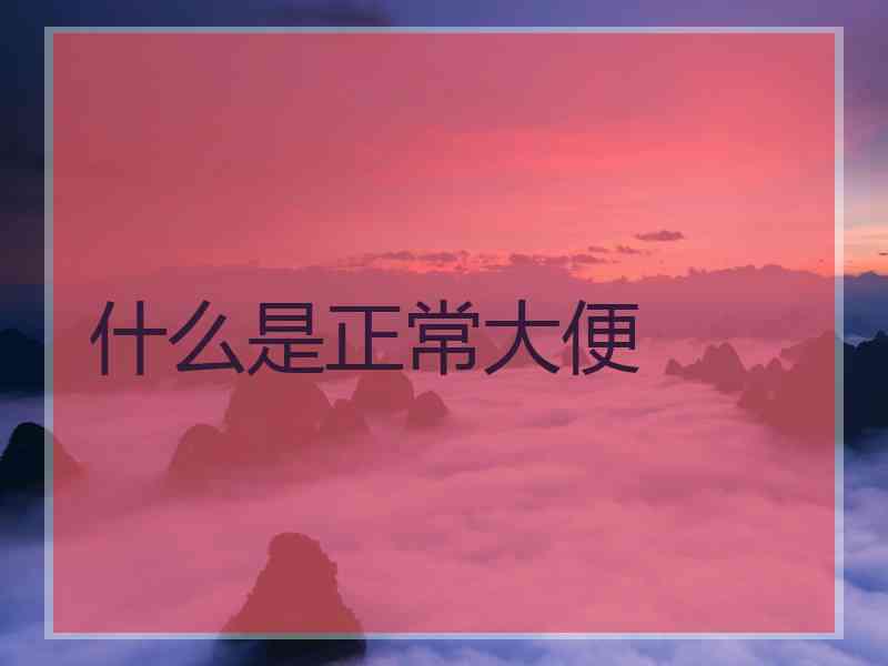 什么是正常大便