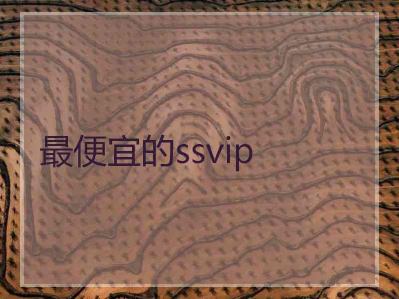 最便宜的ssvip