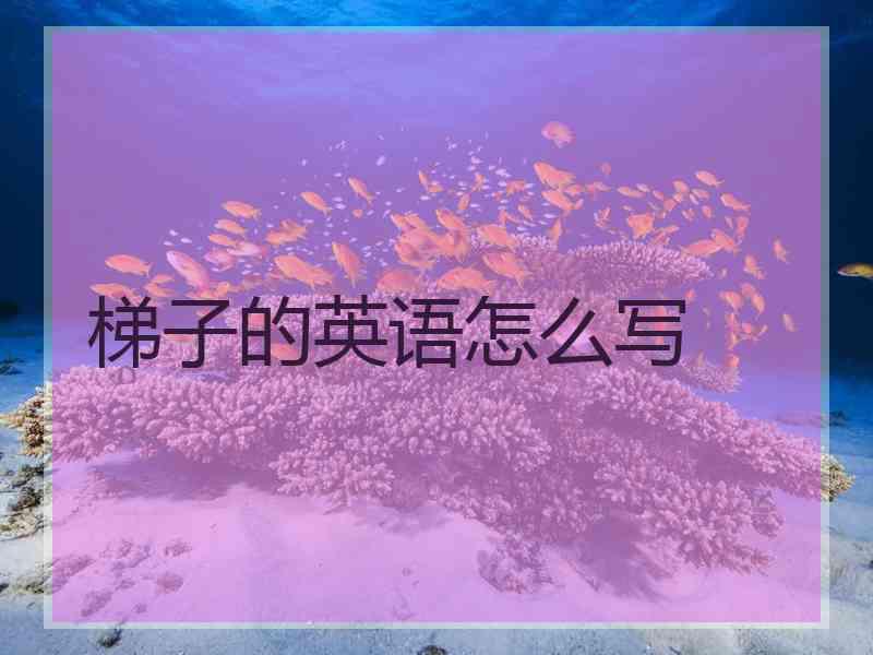 梯子的英语怎么写