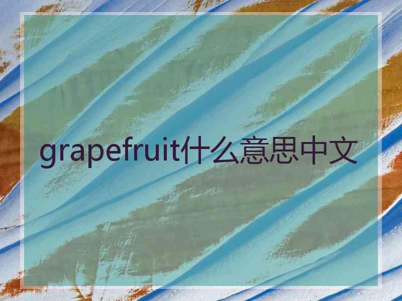 grapefruit什么意思中文