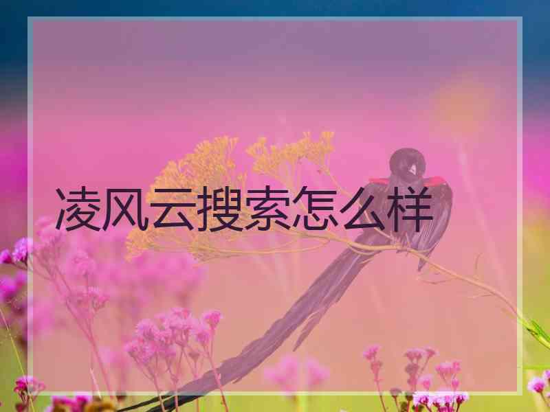 凌风云搜索怎么样
