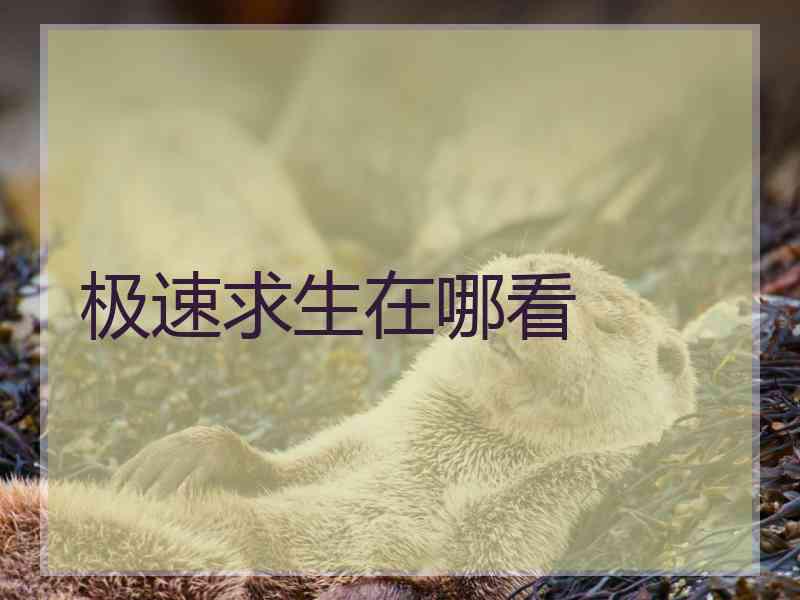 极速求生在哪看