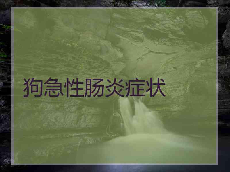 狗急性肠炎症状