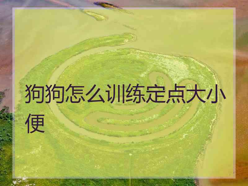 狗狗怎么训练定点大小便