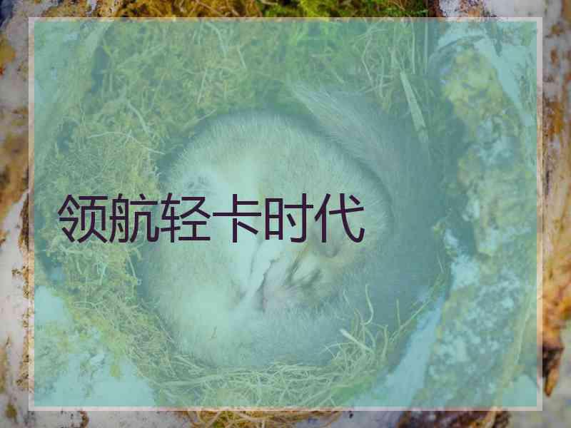 领航轻卡时代
