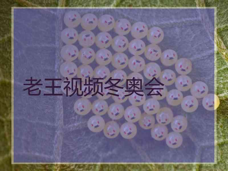 老王视频冬奥会