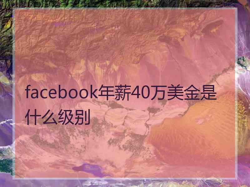facebook年薪40万美金是什么级别