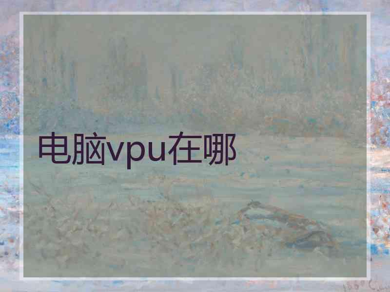 电脑vpu在哪
