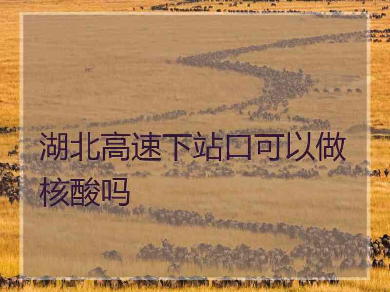 湖北高速下站口可以做核酸吗