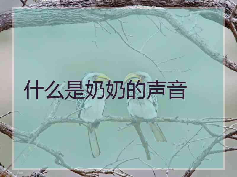 什么是奶奶的声音