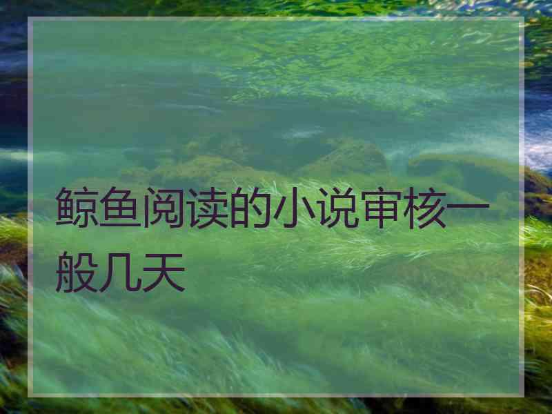 鲸鱼阅读的小说审核一般几天