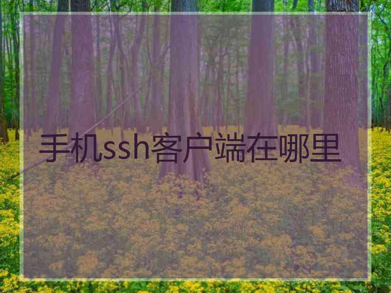 手机ssh客户端在哪里