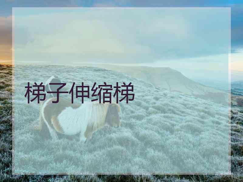 梯子伸缩梯