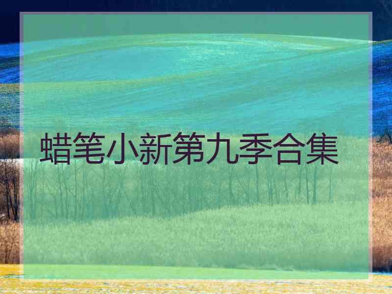 蜡笔小新第九季合集