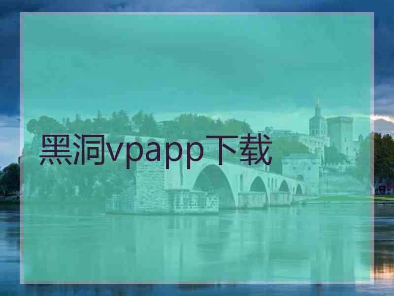 黑洞vpapp下载
