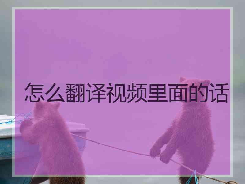 怎么翻译视频里面的话