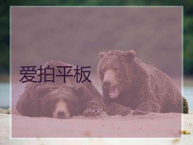 爱拍平板