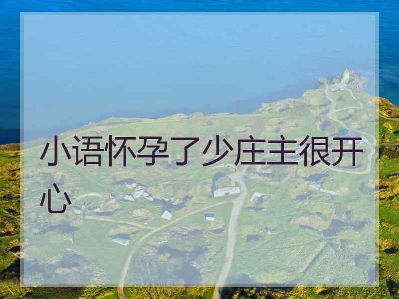 小语怀孕了少庄主很开心