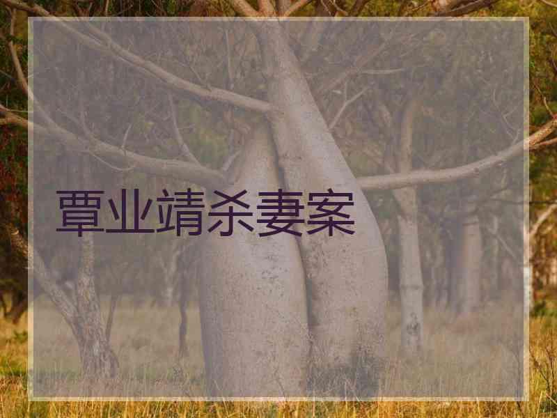 覃业靖杀妻案