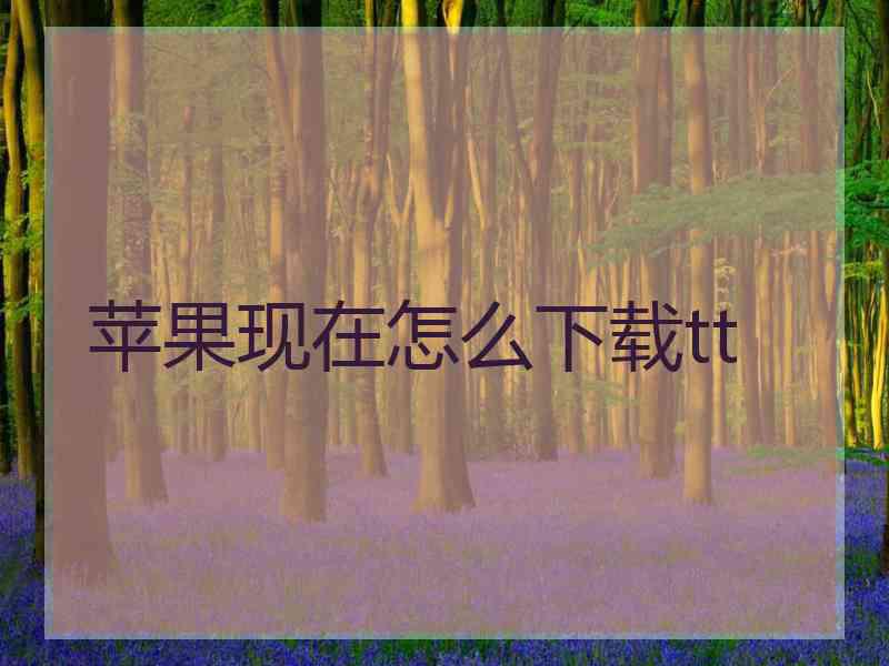苹果现在怎么下载tt