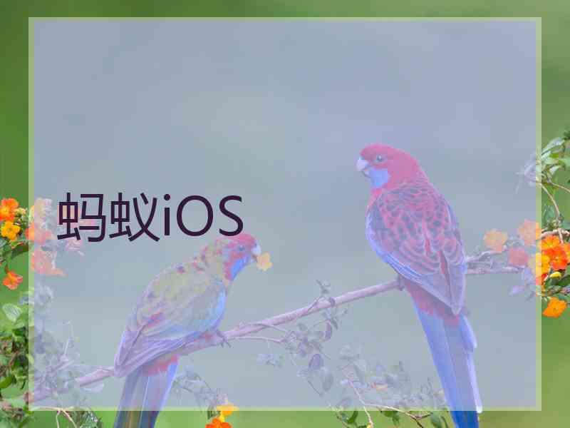 蚂蚁iOS