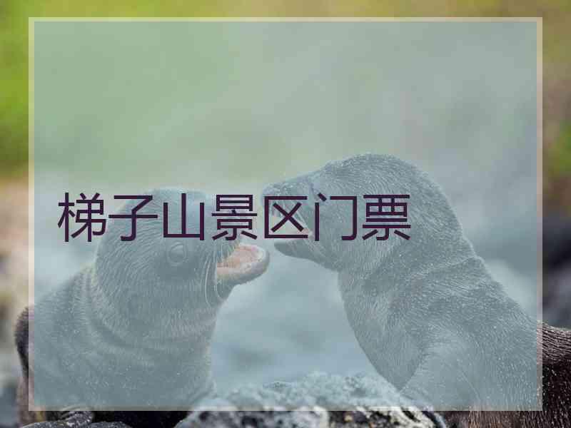 梯子山景区门票