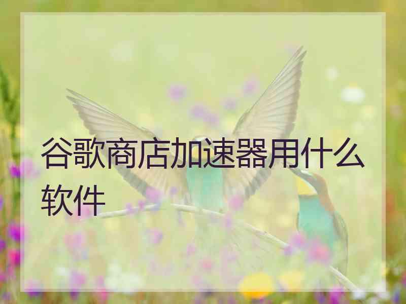 谷歌商店加速器用什么软件