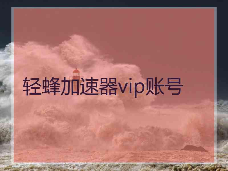 轻蜂加速器vip账号