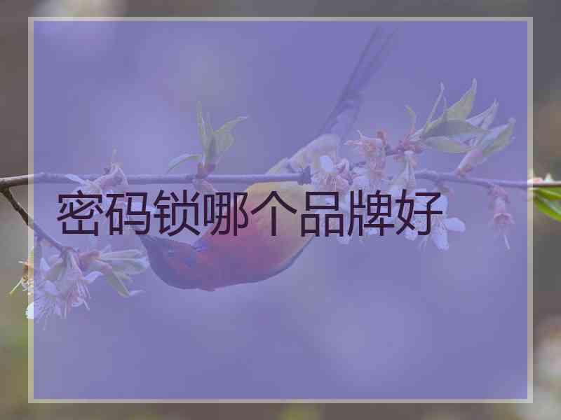密码锁哪个品牌好