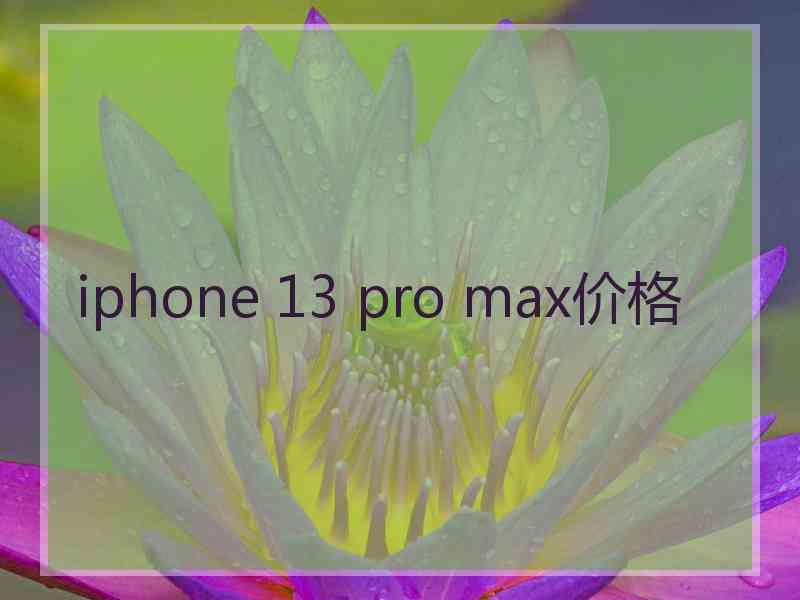 iphone 13 pro max价格