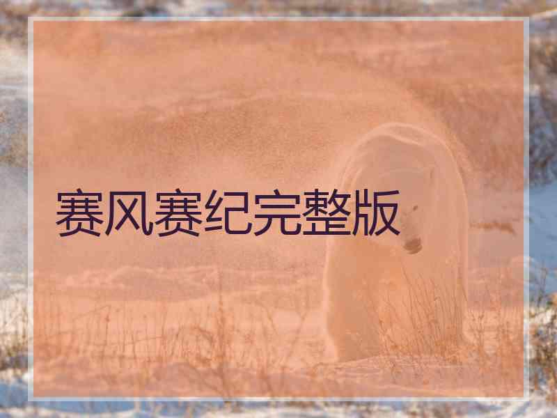 赛风赛纪完整版