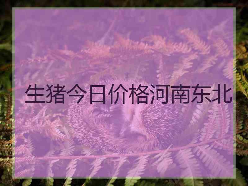 生猪今日价格河南东北