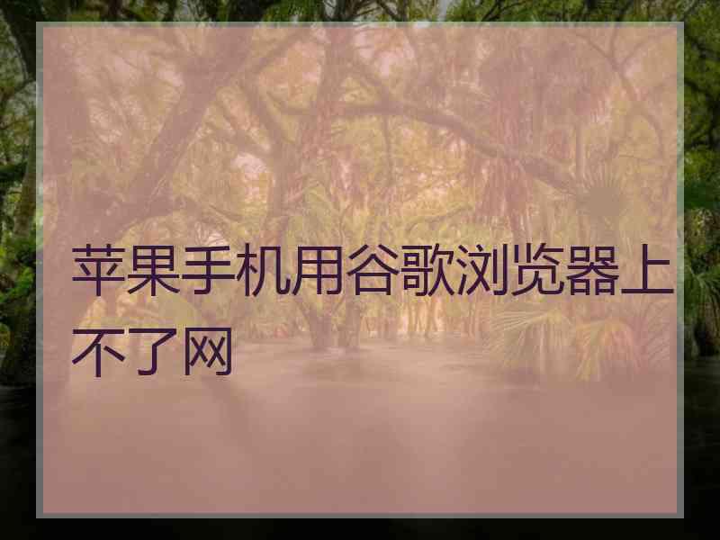 苹果手机用谷歌浏览器上不了网