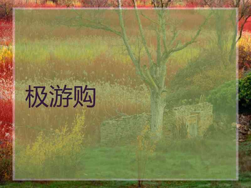 极游购