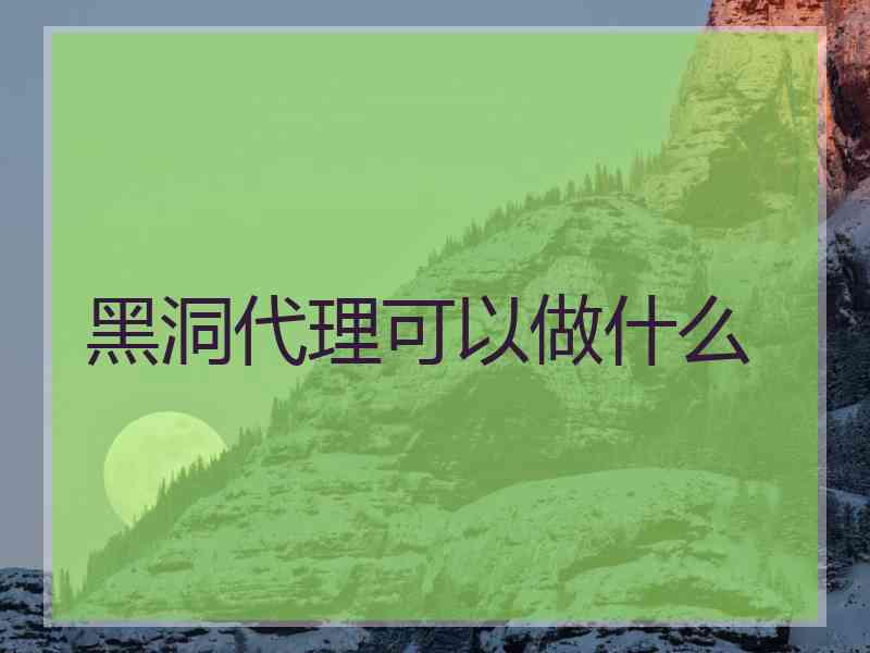 黑洞代理可以做什么