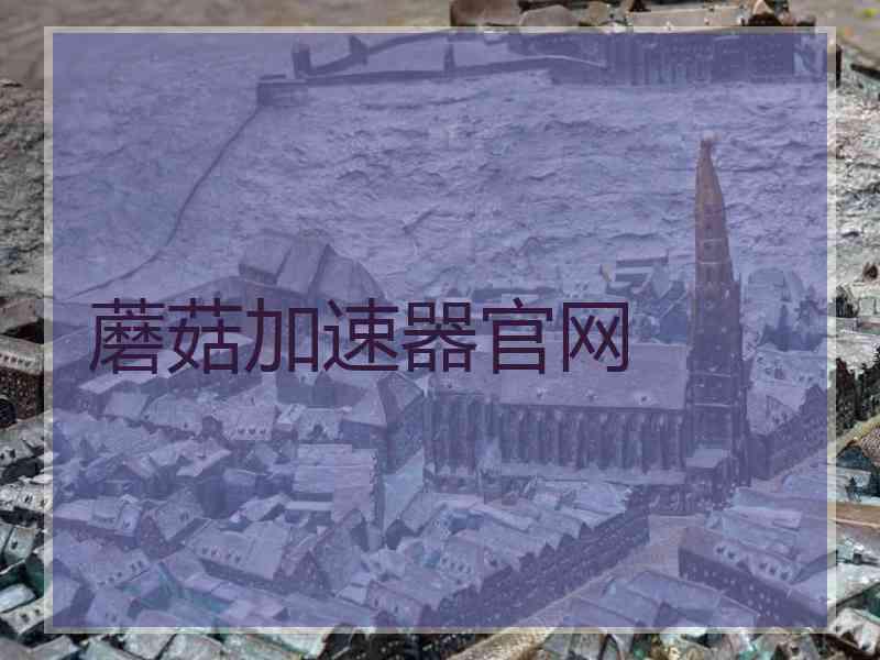 蘑菇加速器官网