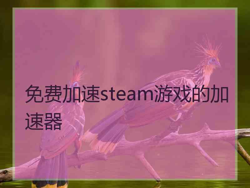 免费加速steam游戏的加速器