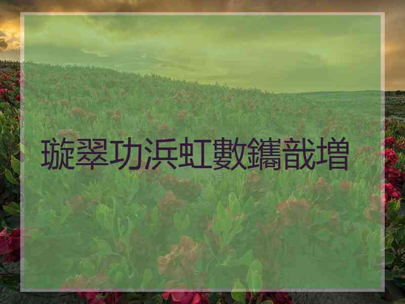 璇翠功浜虹數鑴戠増