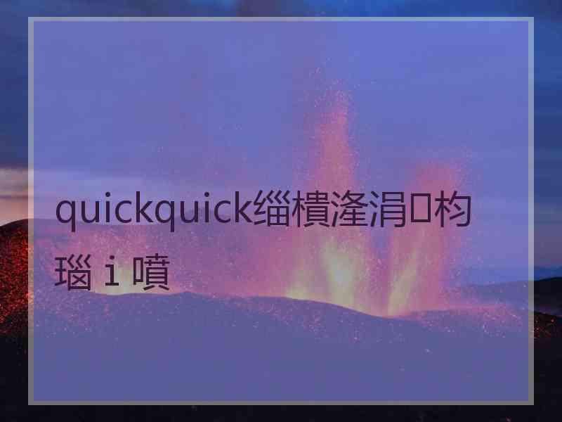 quickquick缁樻湰涓枃瑙ｉ噴