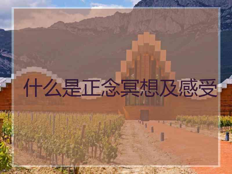 什么是正念冥想及感受
