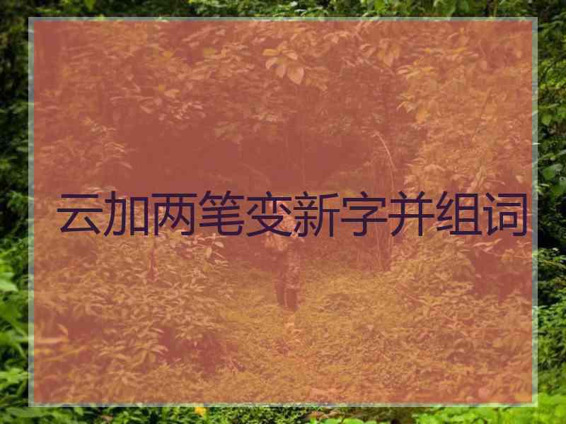 云加两笔变新字并组词