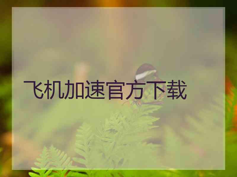 飞机加速官方下载