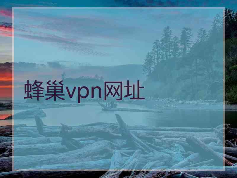 蜂巢vpn网址