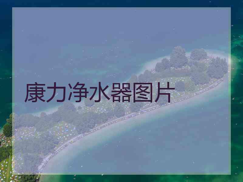康力净水器图片