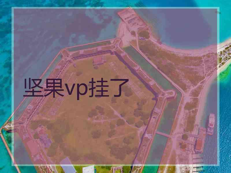 坚果vp挂了