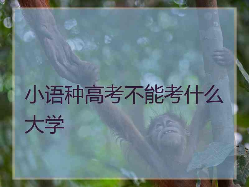 小语种高考不能考什么大学