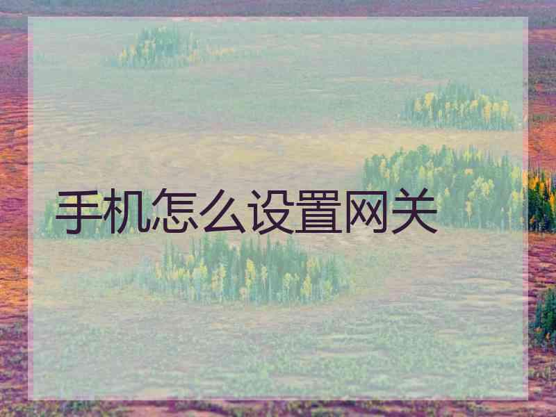 手机怎么设置网关